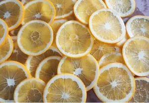 Lemon slicer