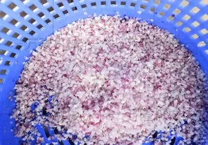 Onion Dicer