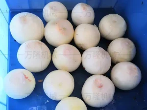 Onion cutting machine