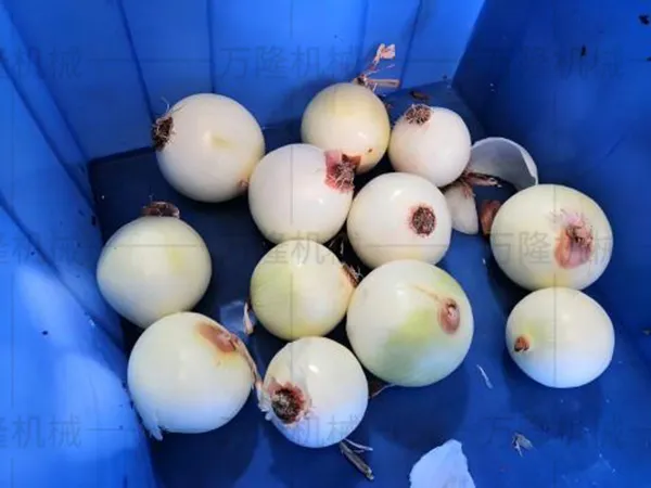 Onion processing machine