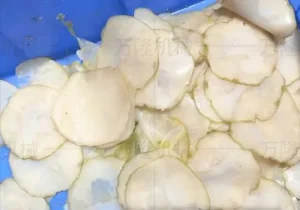 Vegetable Slicer