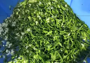 Vegetable cutter