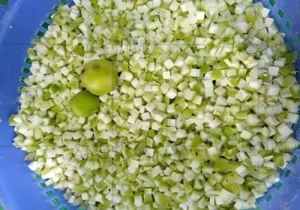 Vegetable dicer