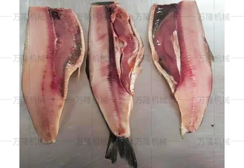 automatic fish cutting machine