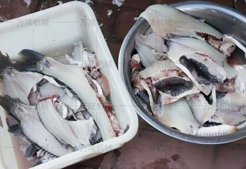 fish cutting machine manufacturer