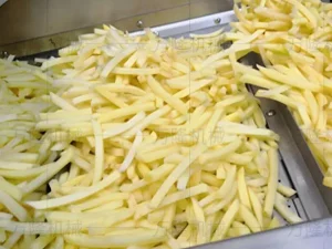 french fries processing equipment
