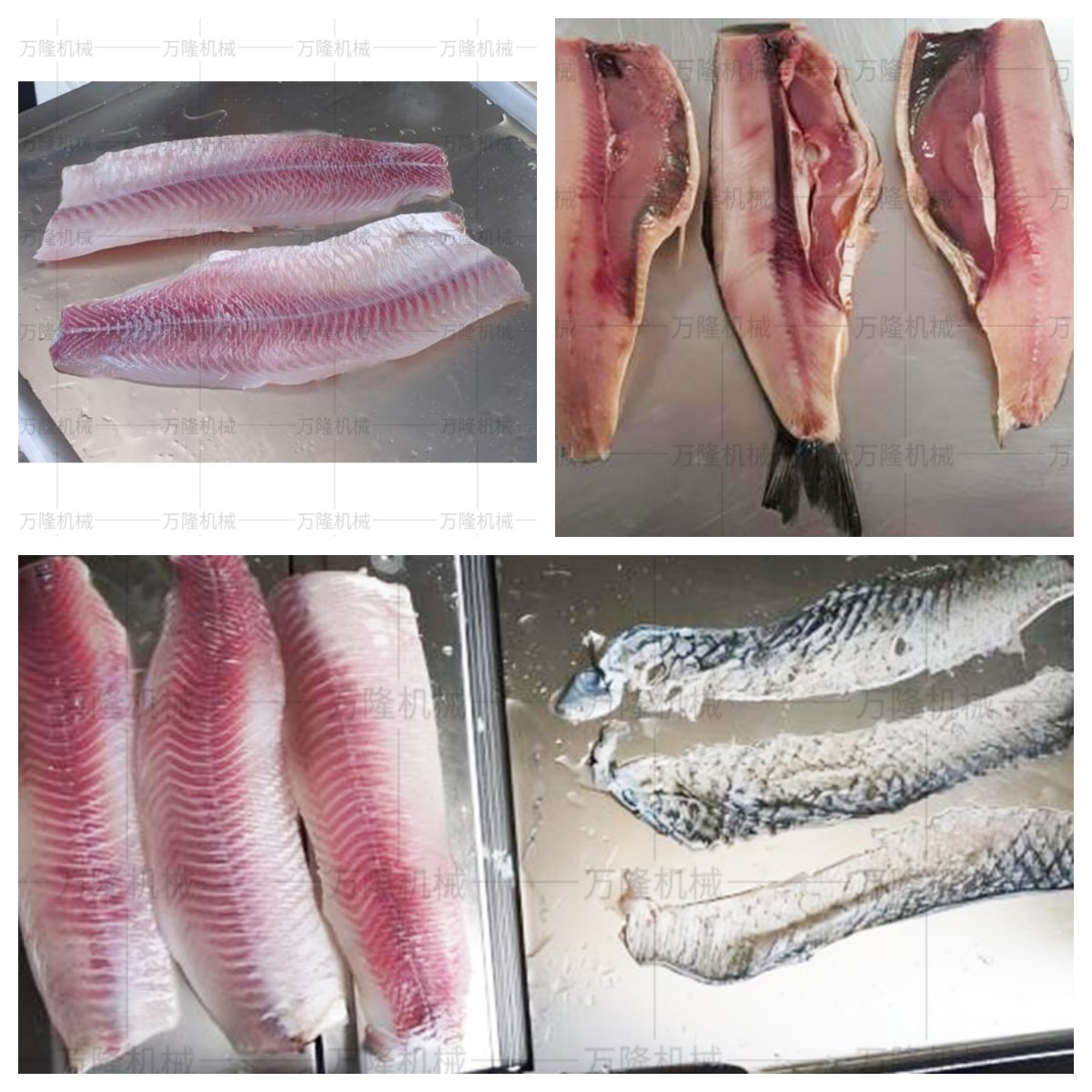 Fish Skinning Machine