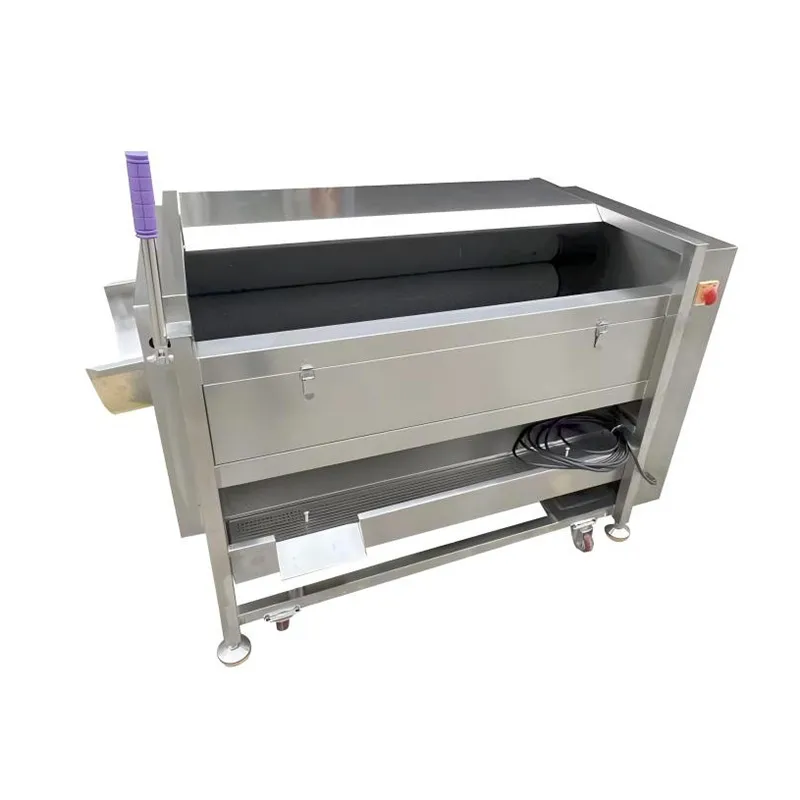 QX-12 Medium-sized Fruit and Vegetable Cleaning Peeling Machine