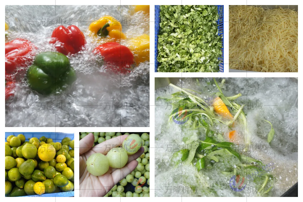 commercial vegetable bubble washer