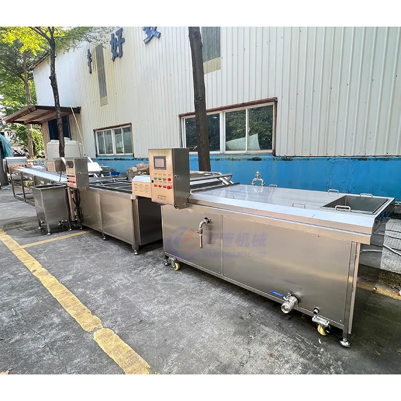 potato blanching machine supplier