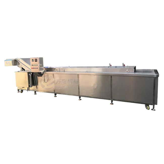 steam blanching equipment
