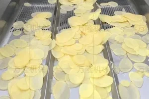 4.potato chip processing equipment 300x203
