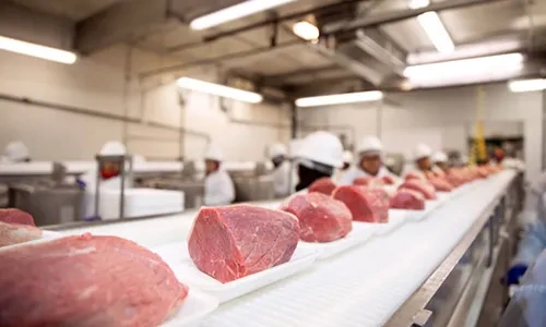 Meat Processing Factory