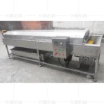 continuous fruit washing machine