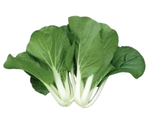 Leafy vegetable