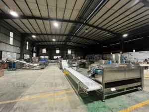 potato frying production line