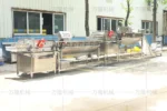 salad vegetable production line