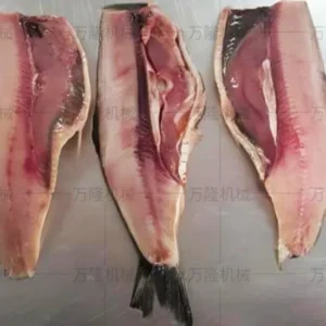 automatic fish cutting machine