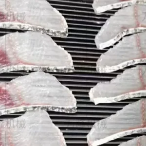 automatic fish cutting machine