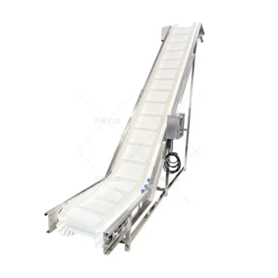 belt conveyor platform