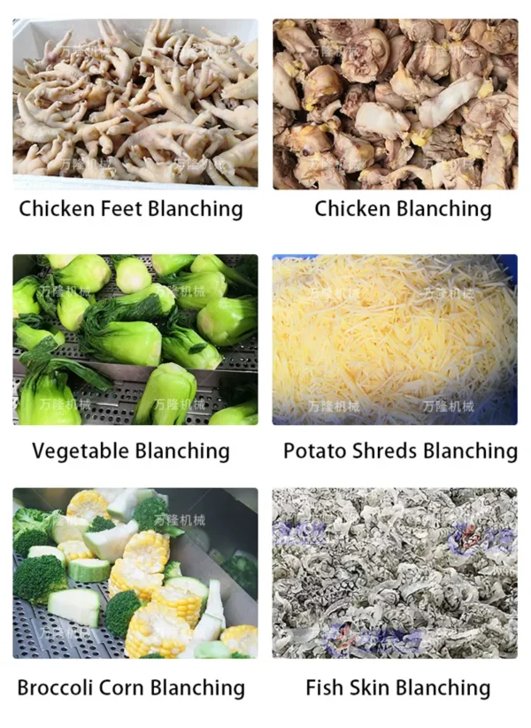 meat and vegetable blanching production line