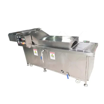 corn washing and blanching production line