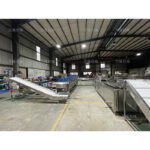 potato frying production line