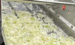 cabbage cleaning machine