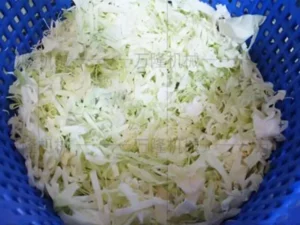 cabbage dehydrator