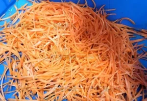 carrot shredder