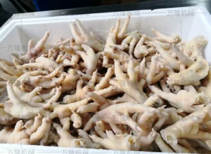 chicken feet blanching machine