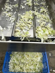 china bubble cleaning machine factory