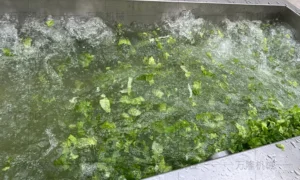 china bubble cleaning machine manufacturers