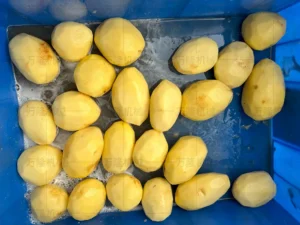 chinese vegetable cutting machine