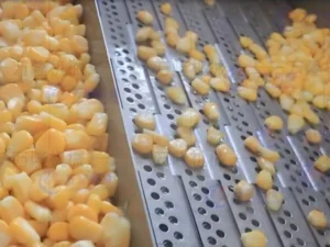 corn washing and blanching production line