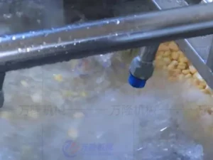 corn washing and blanching production line