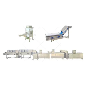 corn washing and blanching production line