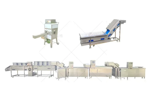 corn washing and blanching production line
