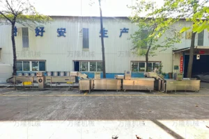 corn washing and blanching production line