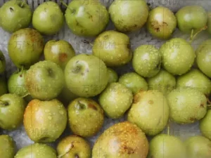 date cleaning machine