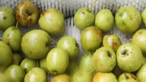 date cleaning peeling machine