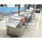 salad vegetable production line