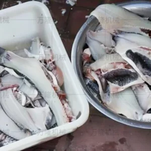 fish cutting machine manufacturer