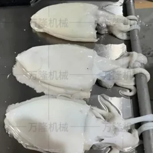 fish skinning machine for sale