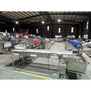 potato frying production line