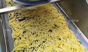 french fry drying machinery