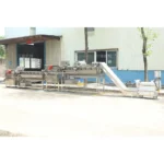 salad vegetable production line