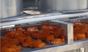 fruit and vegetable drying machinery