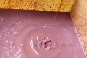 fruit and vegetable juice extractor machine