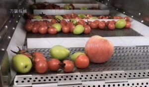 fruit drying machinery